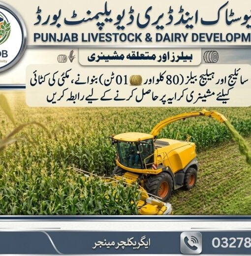 Machinery on rent for silage bales