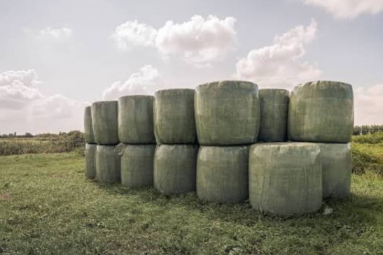 Premium Silage